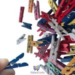 MiniPegs 3b Web